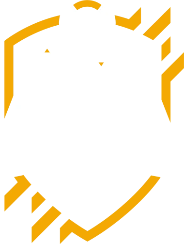 Изображение Overwatch Arena Clash Winter 2019 Challenger