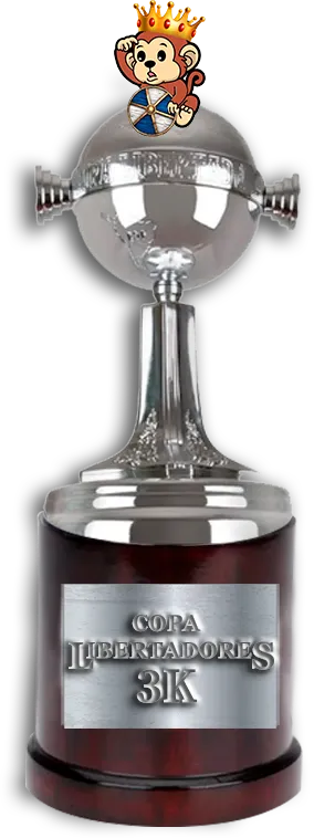 Изображение Copa 3k Libertadores