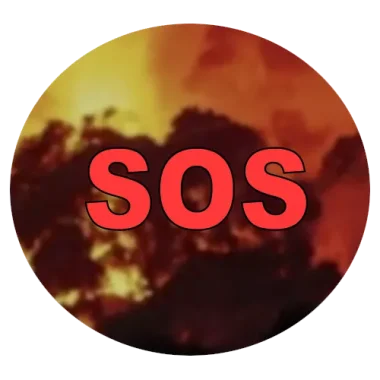 Изображение SOS Pantanal Charity Event