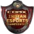 Изображение COBX Indian Esports Championship 2017