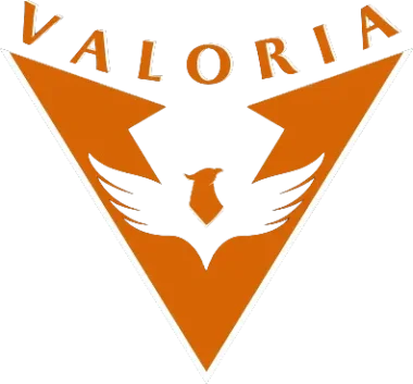 Изображение Valoria X-Mas Cup