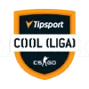 Изображение 1. COOL League Season 10