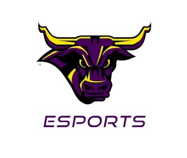 Изображение Mavericks Esports Summer Camp 3v3