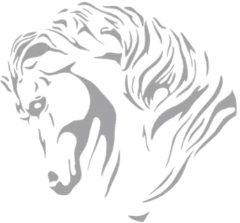 Изображение Mind Games