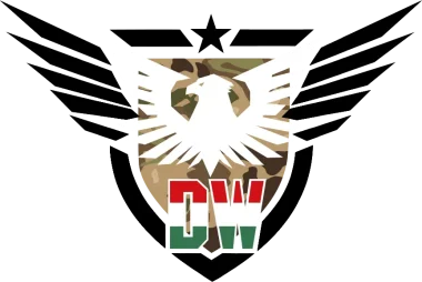 Изображение Digital Warriors Cup Autumn 2025 5v5 Pro