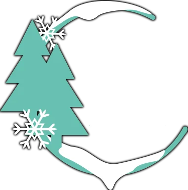 Изображение WardiTV Winter Cup