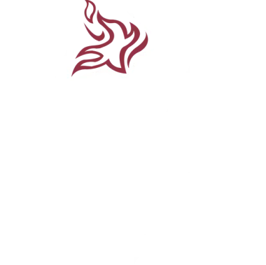 Изображение NEXT PRO Season 1