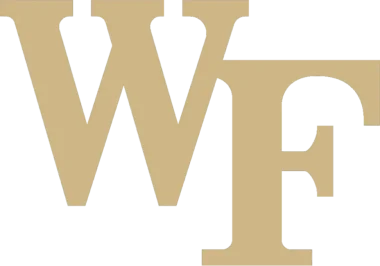 Изображение Black and Gold Blitz 2024