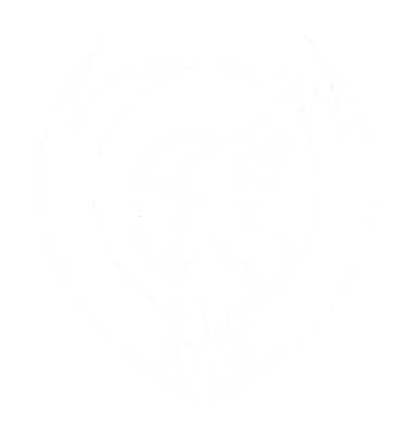 Изображение SURGE Valkyrie Clash Season 2