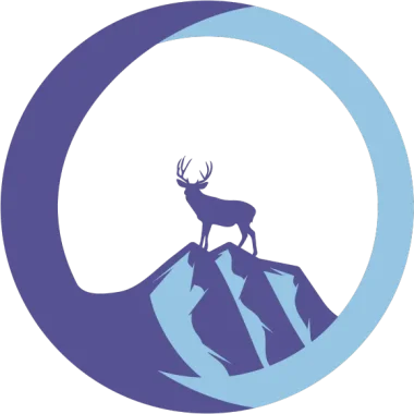 Изображение THE WINNER TAKES IT ALL