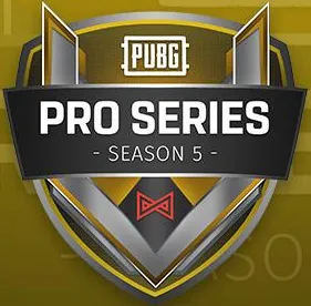 Изображение Mettlestate PUBG Pro Series Season 6