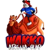 Изображение Wakko Arena Cup
