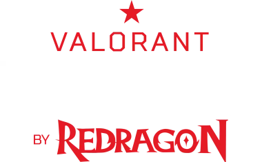 Изображение VALORANT Defenders LAS 2020