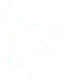 Изображение Phoenix Reborn 2