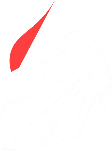 Изображение Baihe Championship