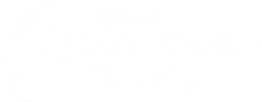 Изображение BGMI Challengers Series