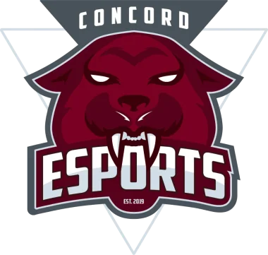 Изображение Concord Esports Passion Series 2025