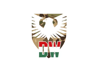 Изображение Digital Warriors Cup Autumn 2025 5v5 Pro