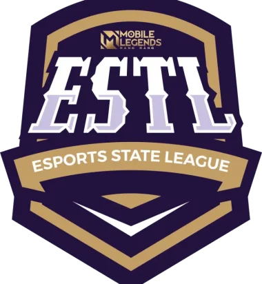 Изображение Esports State Tournament League Season 1