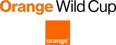 Изображение Orange Wild Cup