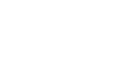 Изображение Wild Circuit EMEA 2022 - Infernal League