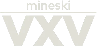 Изображение Mineski VxV 2022