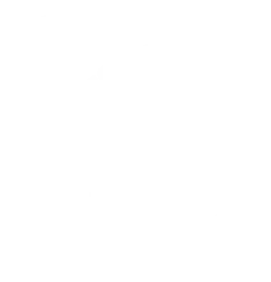 Изображение PUBG Mobile Pro League - Turkey Season 1