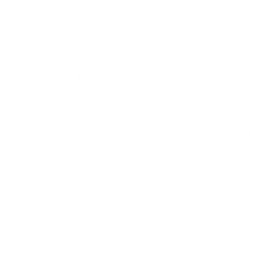 Изображение MESA Pro Series Spring 2025
