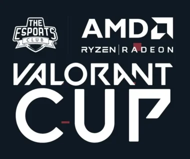 Изображение AMD Valorant Cup