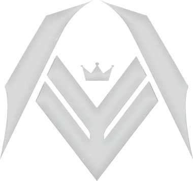 Изображение TIE RECON UP