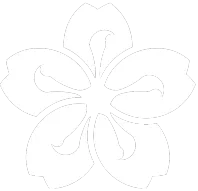 Изображение Lady MVP Season 9