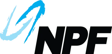 Изображение NPF 2019