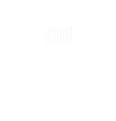Изображение PUBG Vietnam Series 2025 - Fall
