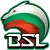 Изображение BSL Flais Brawl