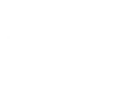 Изображение ELITE FE #1