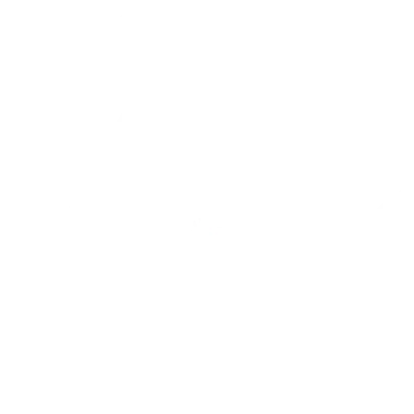 Изображение MESA Pro Series: Fall 2024