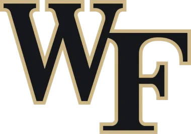 Изображение Black and Gold Blitz 2024