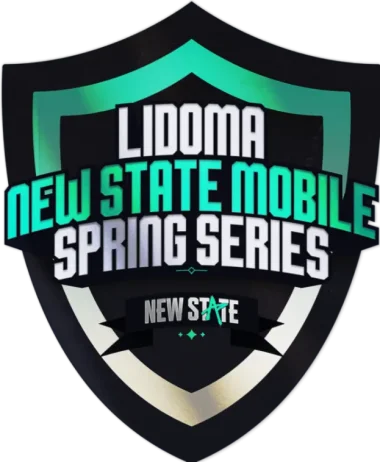 Изображение Lidoma New State Mobile Spring Series #1