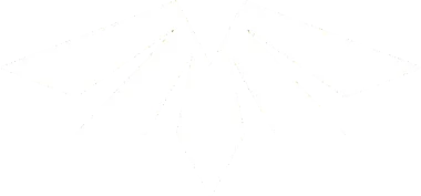 Изображение LCK CL Kickoff 2026