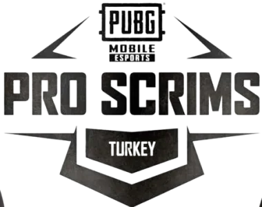 Изображение Ruthless Pro Scrims Türkiye