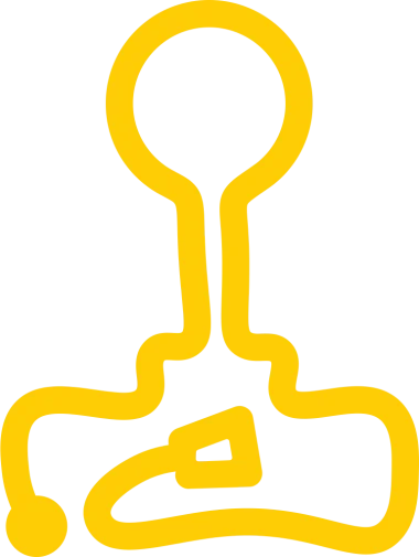 Изображение InfoShow Lan Party 2024