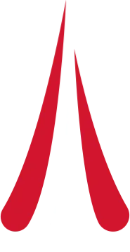 Изображение MESA Pro Series #1