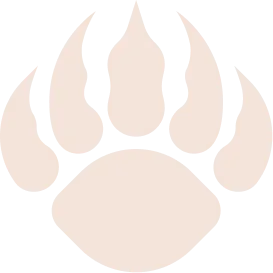 Изображение CIS Battle 4