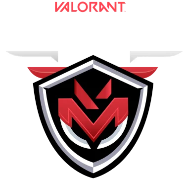 Изображение Valorant Meta League
