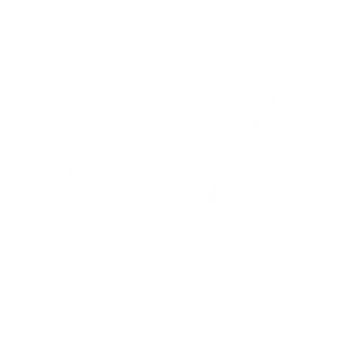 Изображение Winter Collab Tour