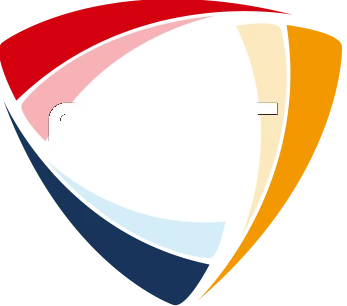 Изображение National Electronic Sports Tournament 2021