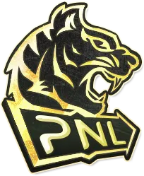 Изображение Perfect World National League Plus 2022: Open Qualifier #1