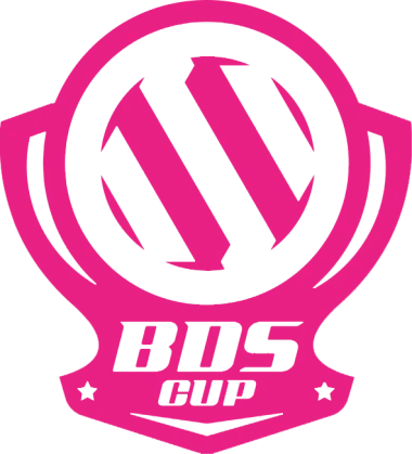 Изображение BDS CUP #2