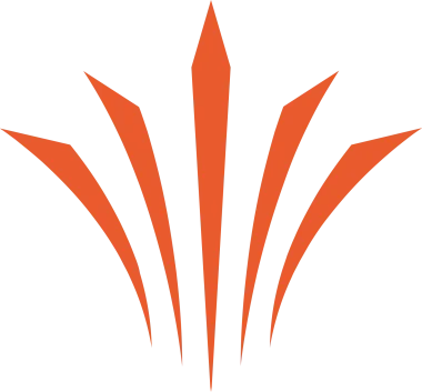 Изображение APAC North 2020 - Relegation