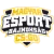 Изображение Magyar Esport Bajnokság Spring 2021